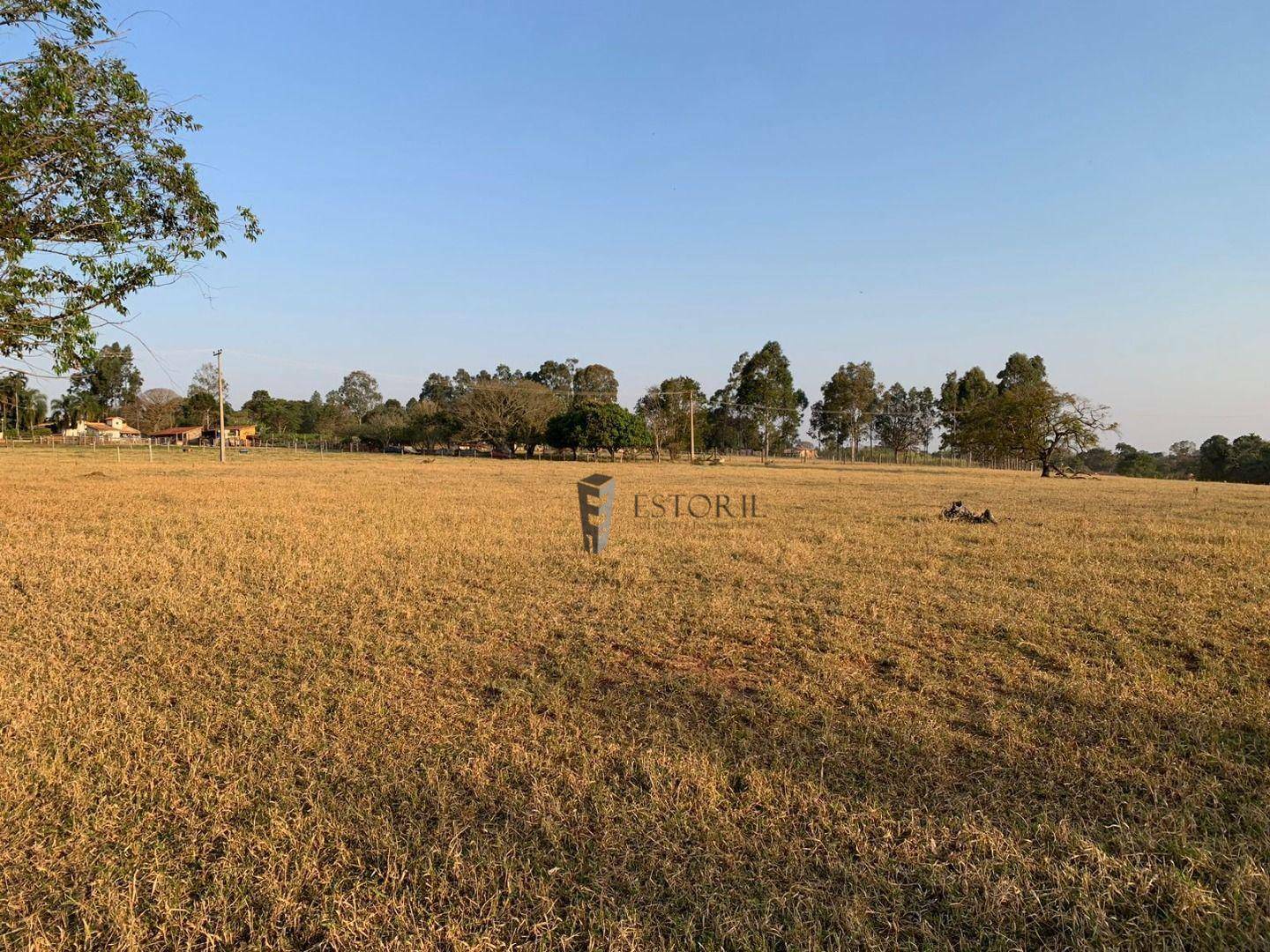 Terreno à venda, 41140M2 - Foto 6