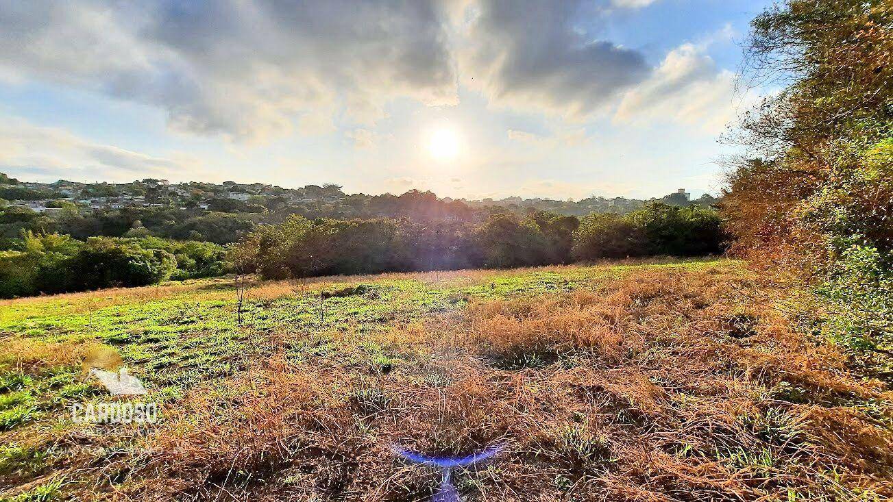 Sítio, 8 hectares - Foto 1