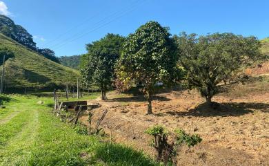 Fazenda à venda com 2 quartos, 50000m² - Foto 13