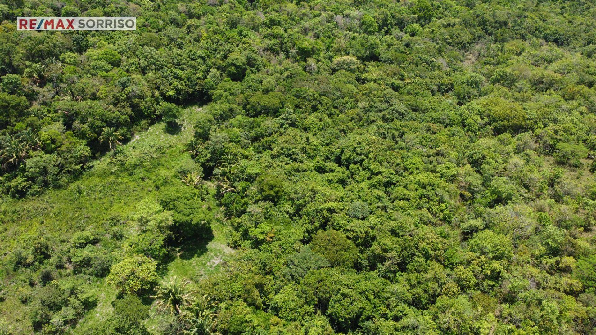 Fazenda à venda, 750000M2 - Foto 3