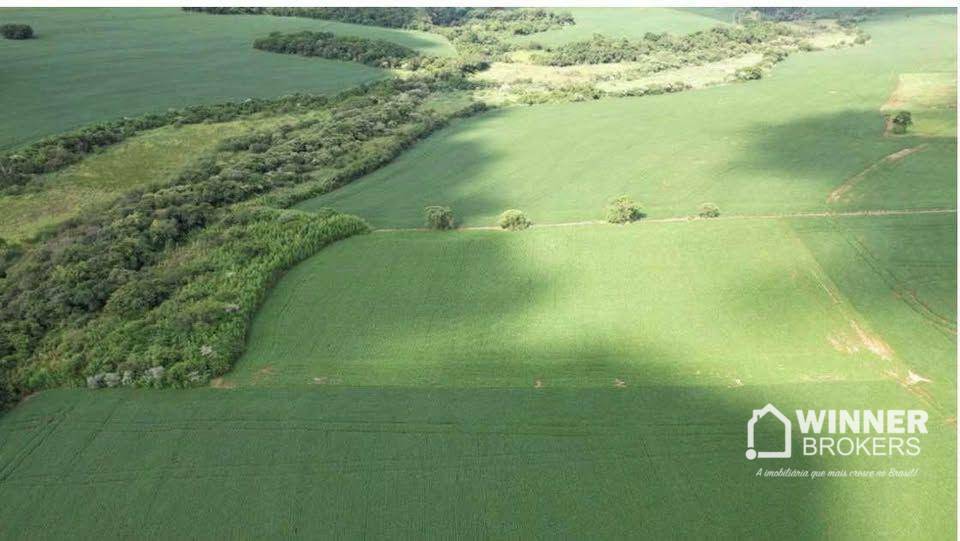 Chácara, 3 hectares - Foto 2