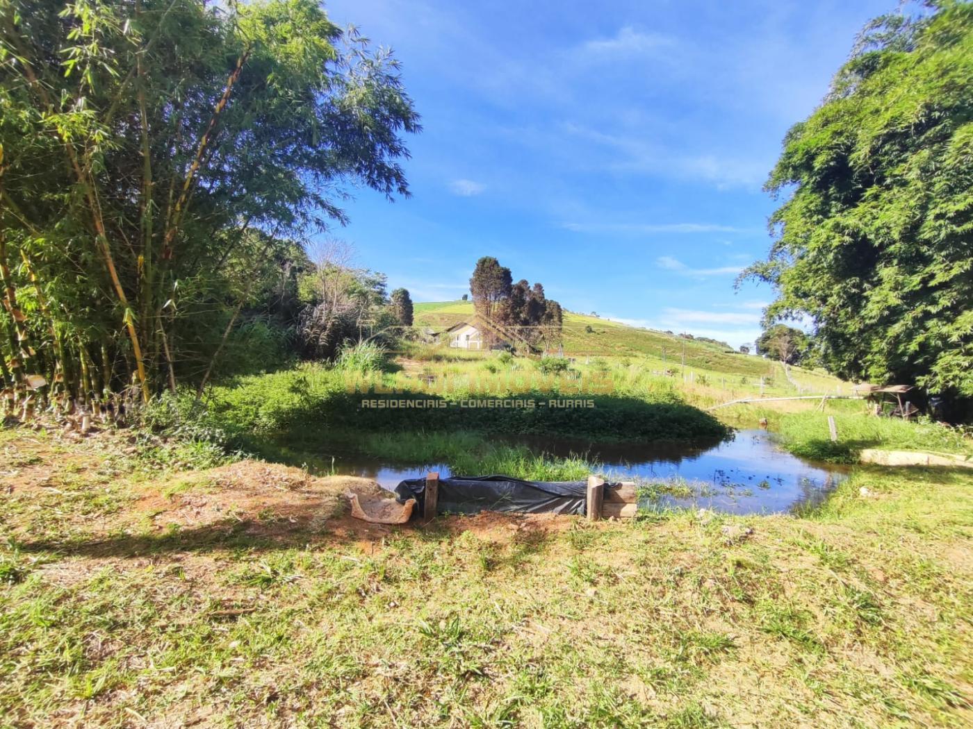 Fazenda à venda, 9000m² - Foto 31