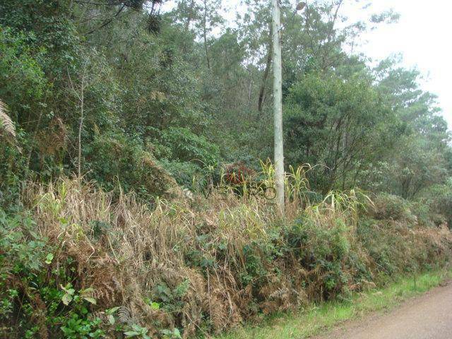 Terreno à venda, 50000M2 - Foto 15