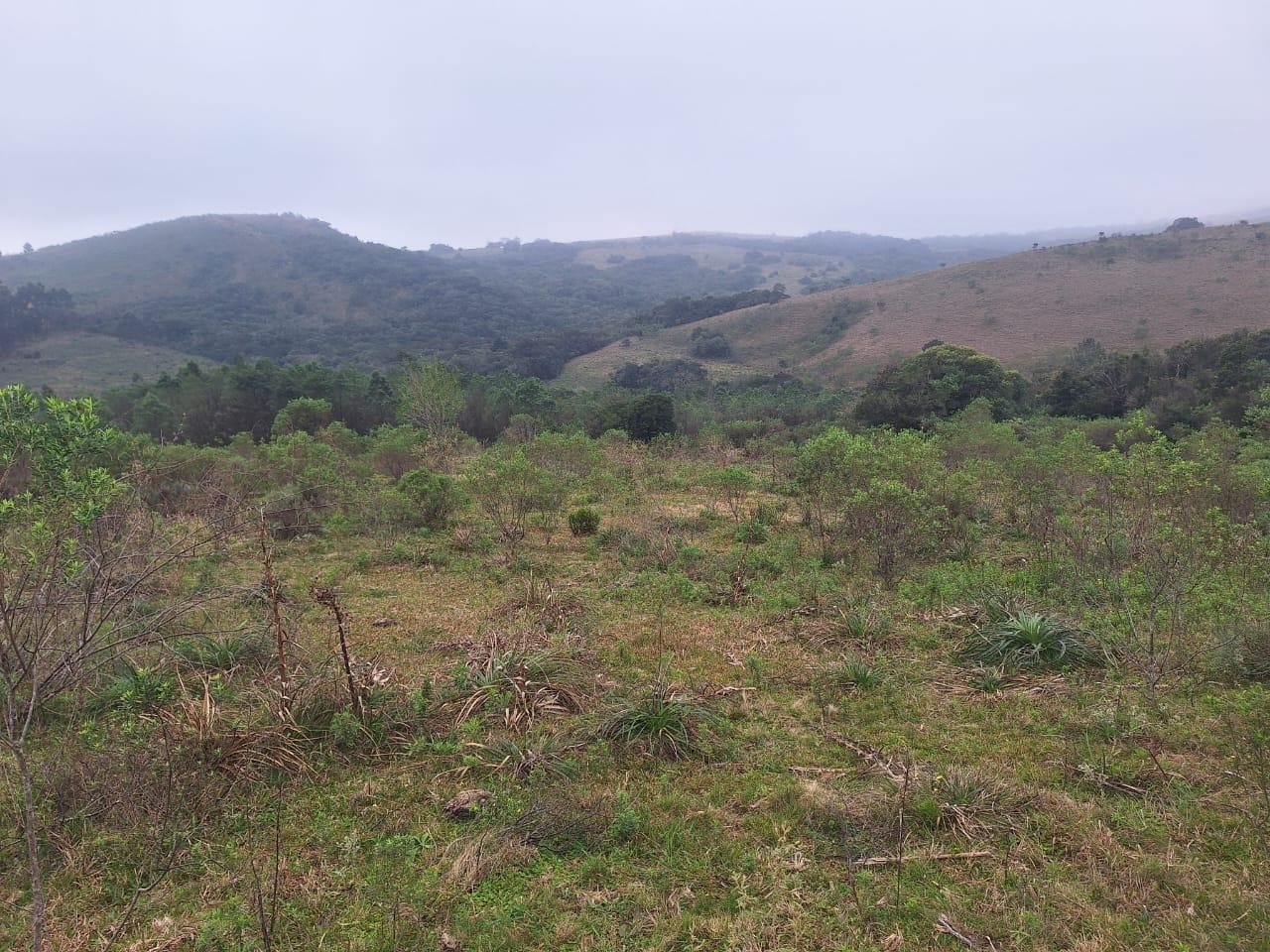 Loteamento e Condomínio à venda, 160000m² - Foto 5