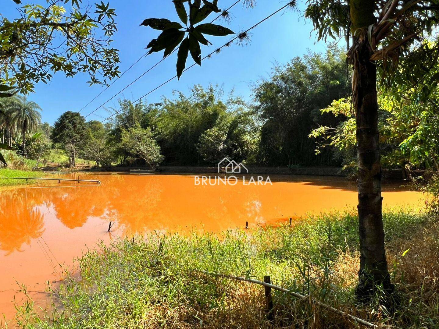 Fazenda à venda com 6 quartos, 1200m² - Foto 19