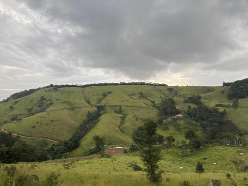 Fazenda-Sítio-Chácara, 53 hectares - Foto 1