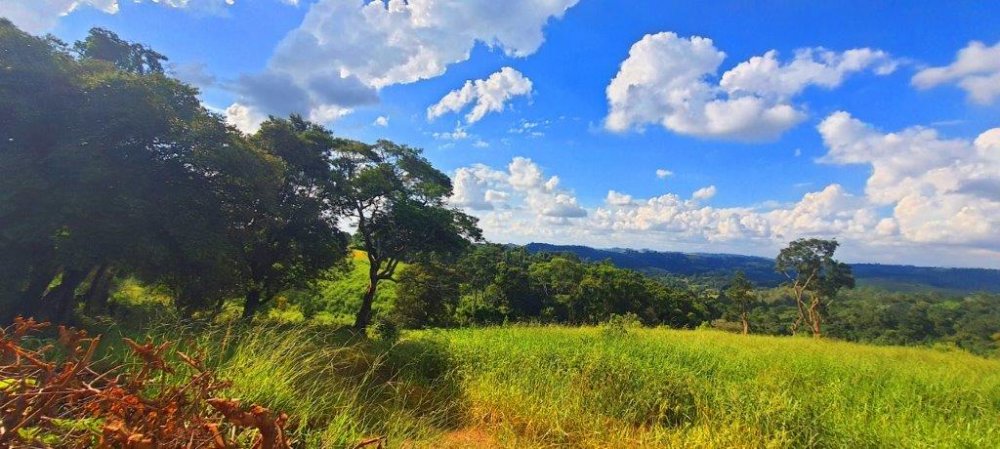 Fazenda à venda, 20535m² - Foto 9