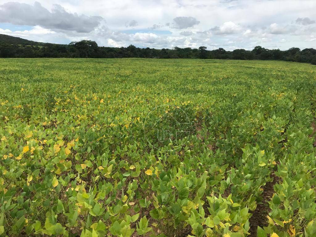 Fazenda à venda, 5000000M2 - Foto 30