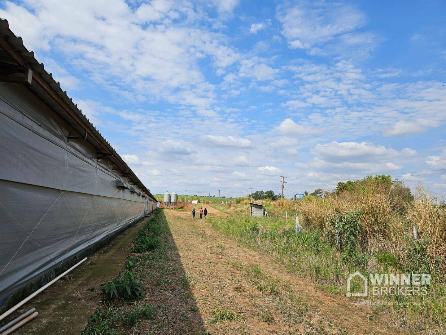 Sítio à venda, 121000M2 - Foto 25