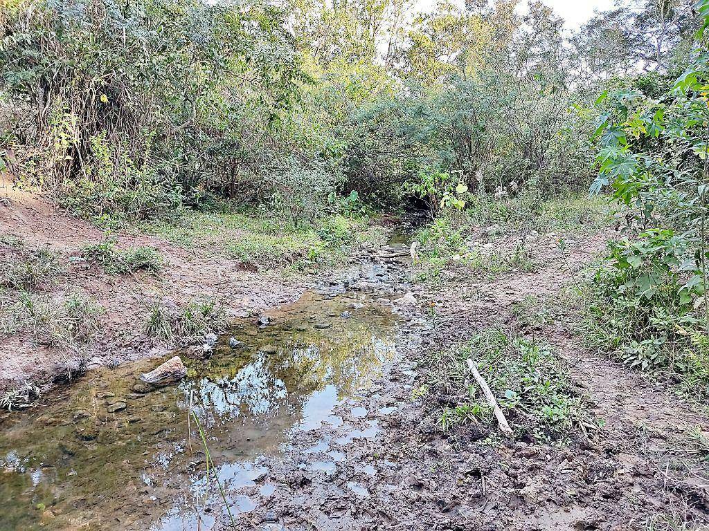 Fazenda à venda, 40m² - Foto 6