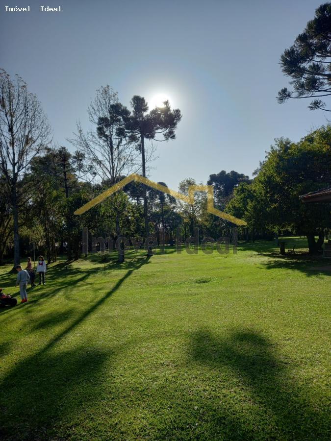 Fazenda à venda com 3 quartos, 26000m² - Foto 17