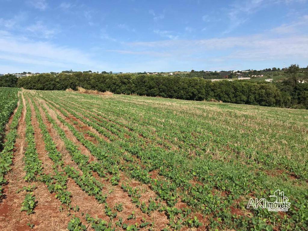 Chácara à venda com 1 quarto, 37280M2 - Foto 12