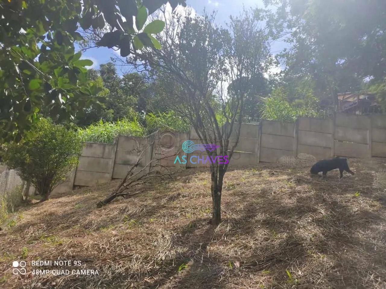 Casa à venda com 3 quartos, 160m² - Foto 18