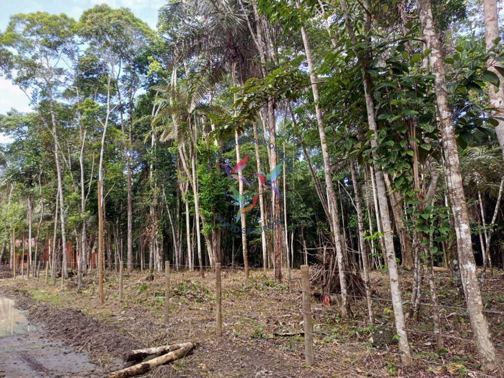 Terreno à venda, 12000m² - Foto 14