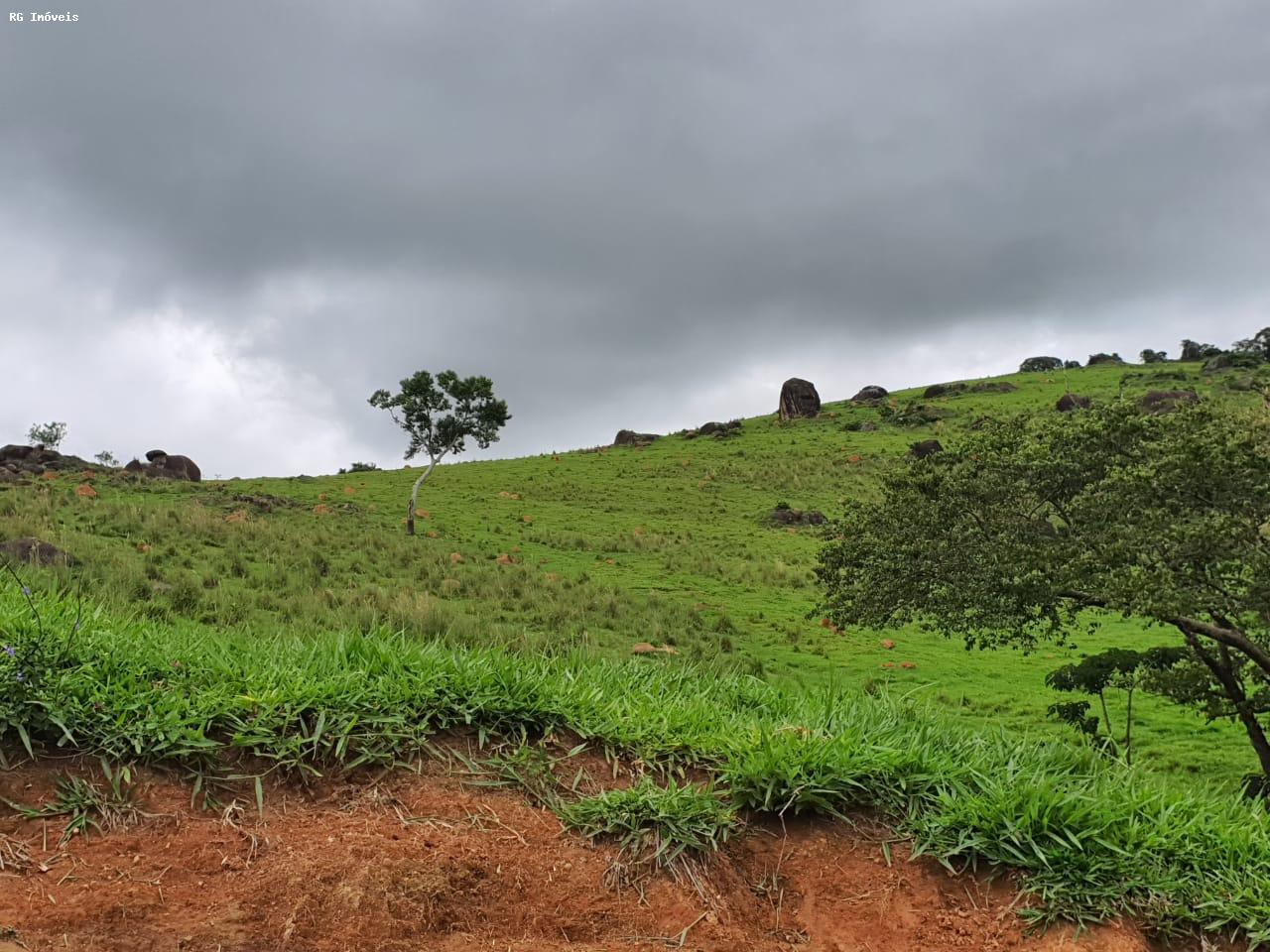 Fazenda à venda com 2 quartos, 220m² - Foto 33