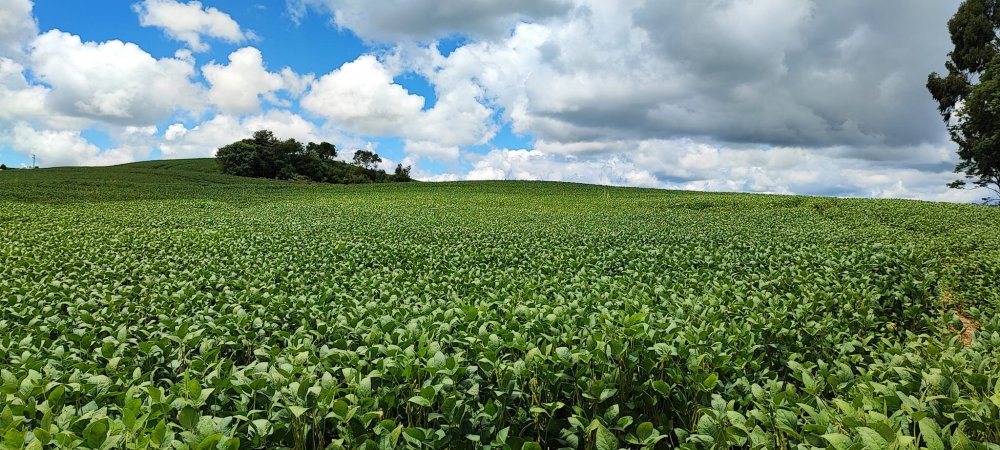 Fazenda à venda, 52m² - Foto 3