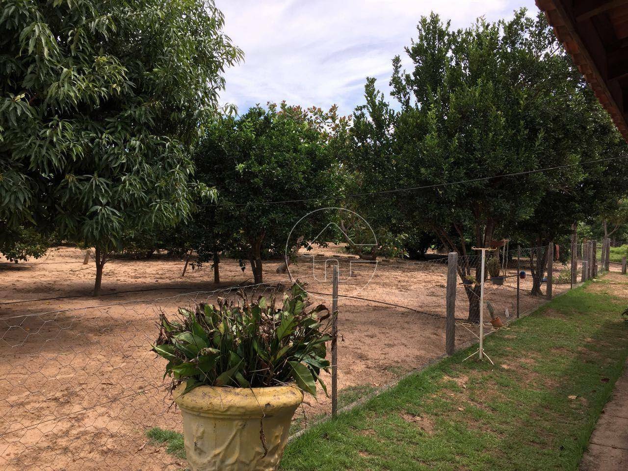 Fazenda à venda, 9970000M2 - Foto 23