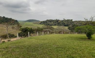 Fazenda à venda com 3 quartos, 87000m² - Foto 4