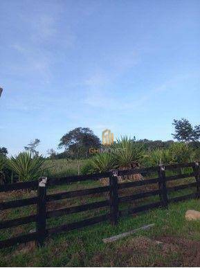 Fazenda à venda com 3 quartos, 7160000M2 - Foto 11