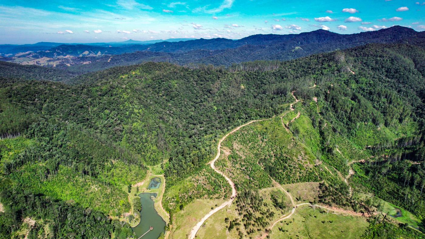 Fazenda à venda com 4 quartos, 4140000m² - Foto 9