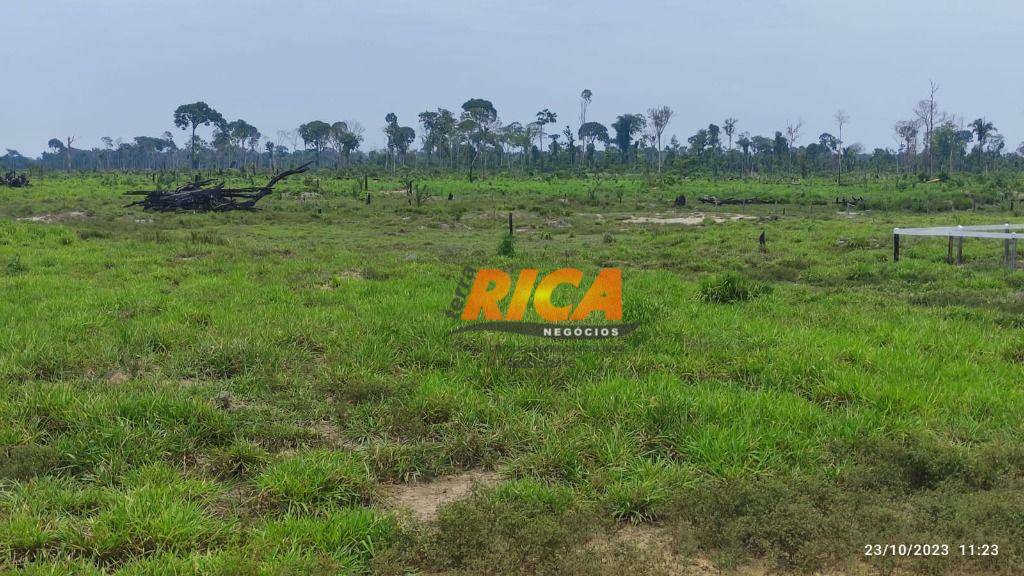 Fazenda à venda, 2280000M2 - Foto 5