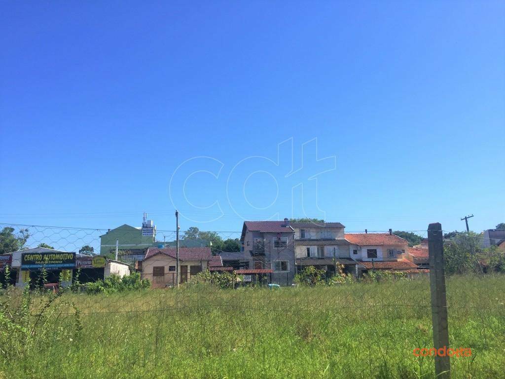 Terreno para alugar, 2000M2 - Foto 5