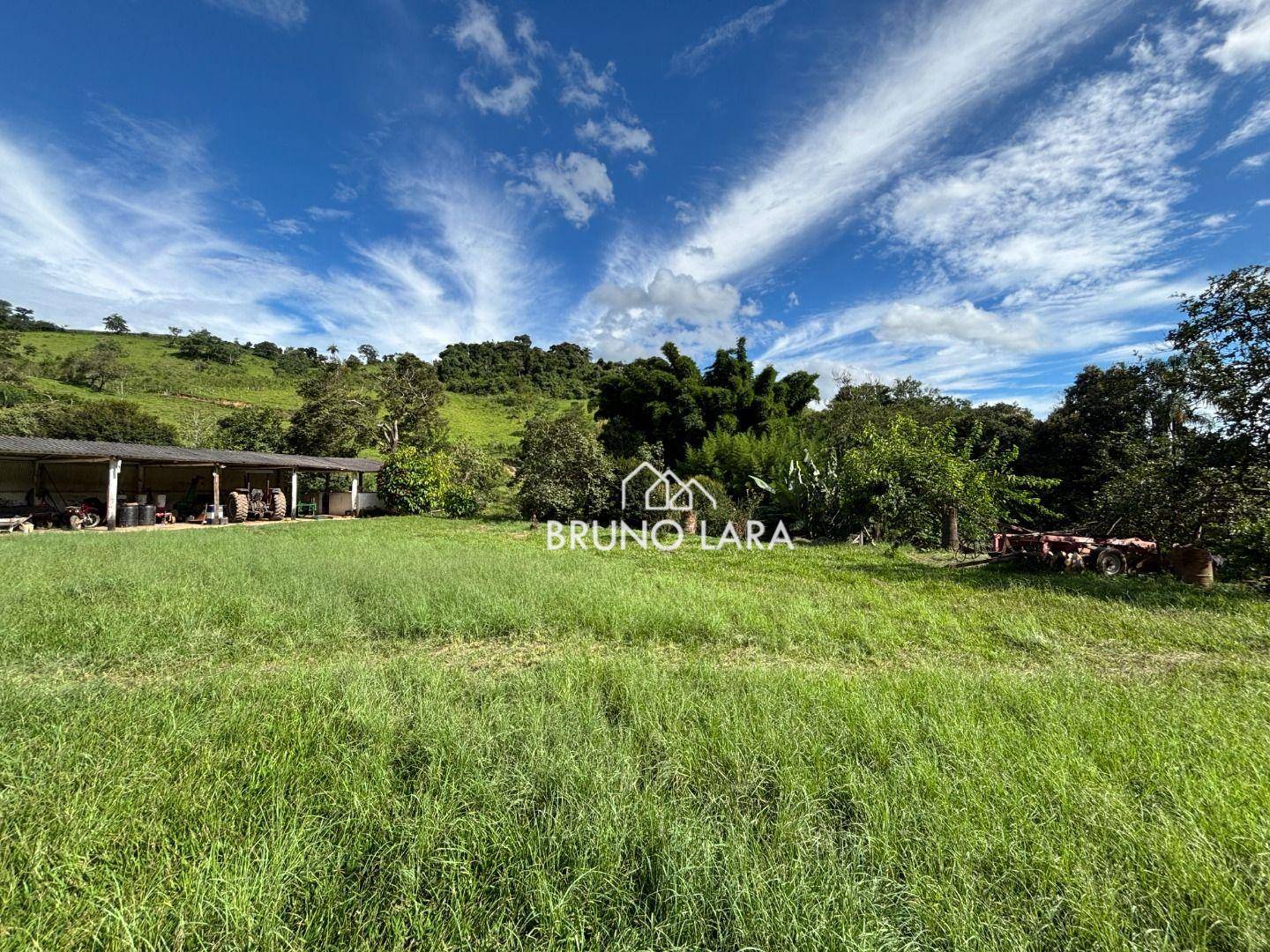 Fazenda, 60 hectares - Foto 4