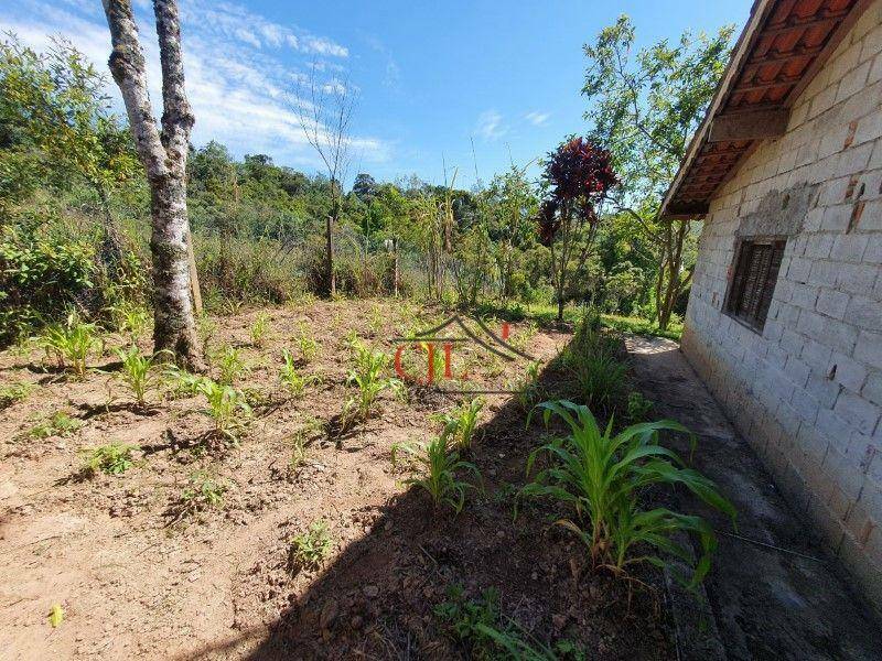 Chácara à venda com 2 quartos, 10000M2 - Foto 11