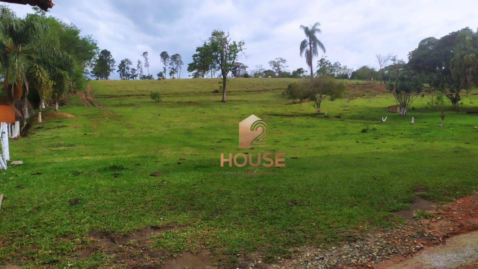 Fazenda à venda com 2 quartos, 133000M2 - Foto 35