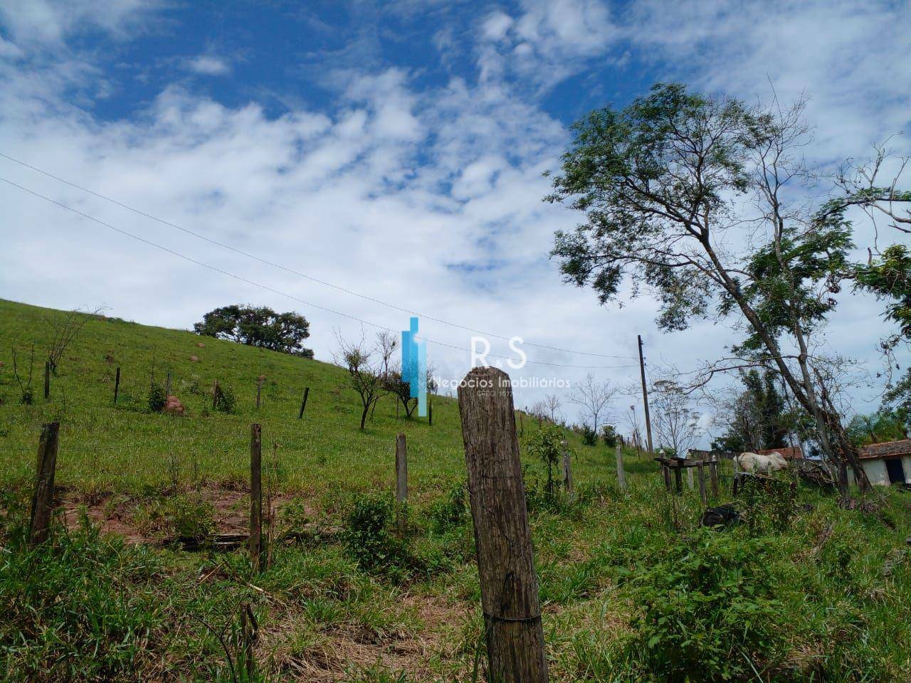 Terreno, 18 hectares - Foto 5