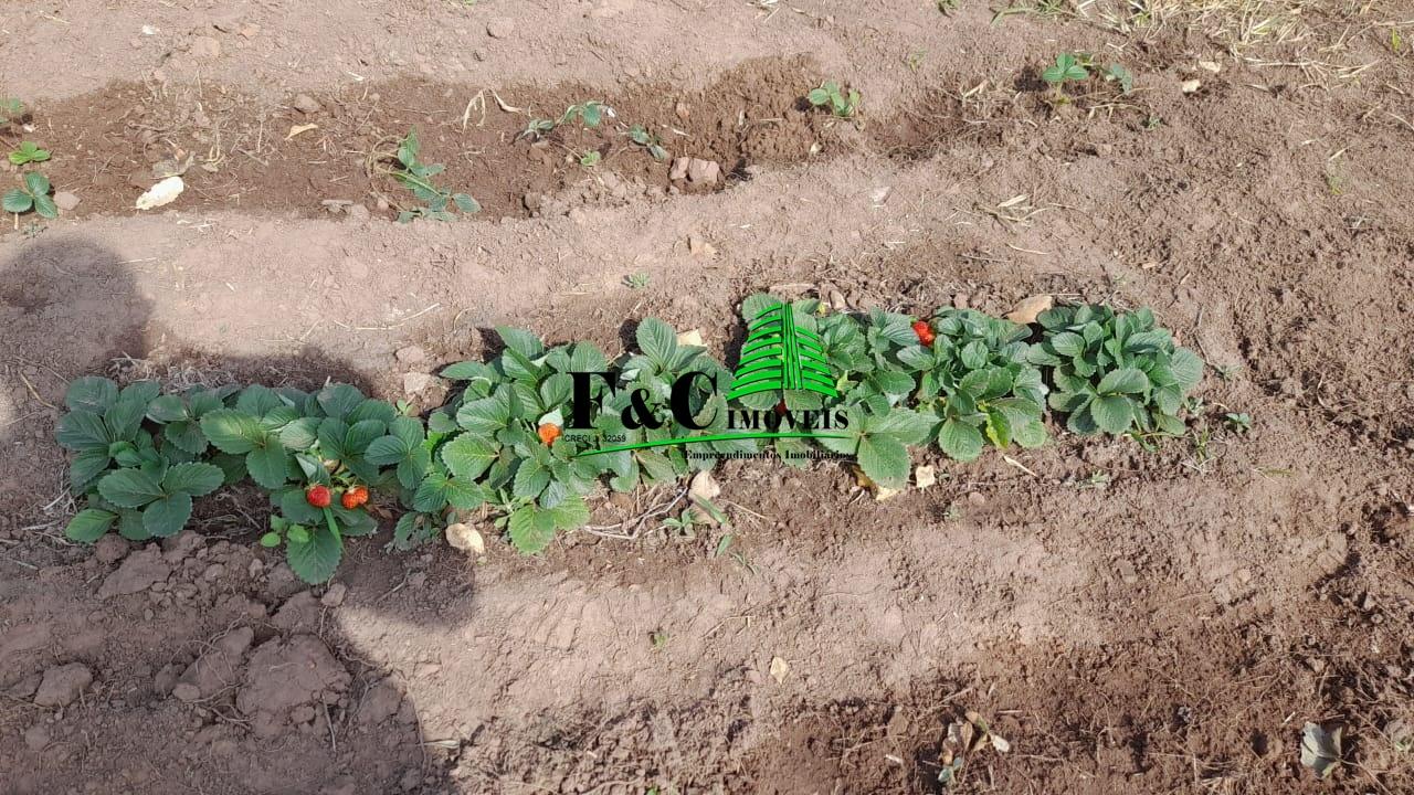 Terreno à venda, 2840m² - Foto 14