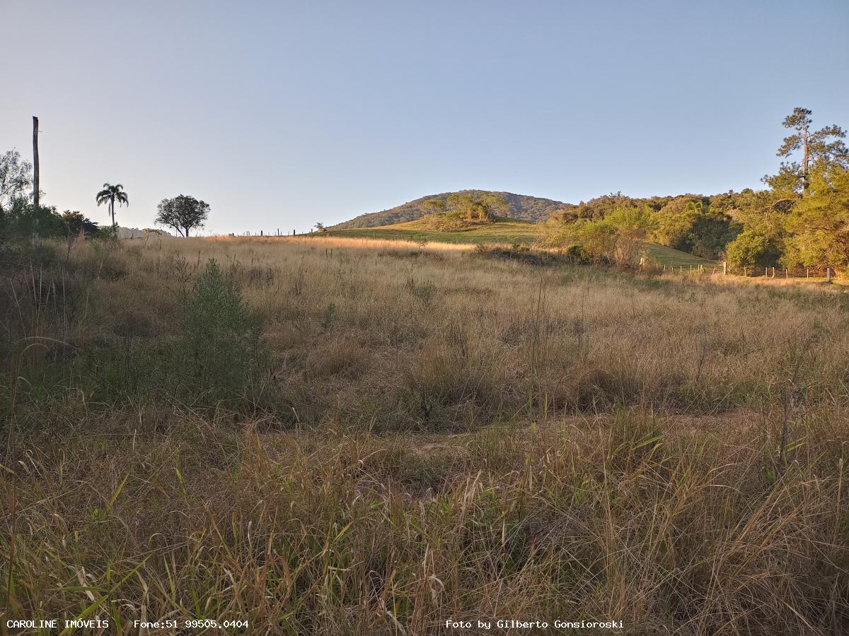 Fazenda à venda com 3 quartos, 586000m² - Foto 16