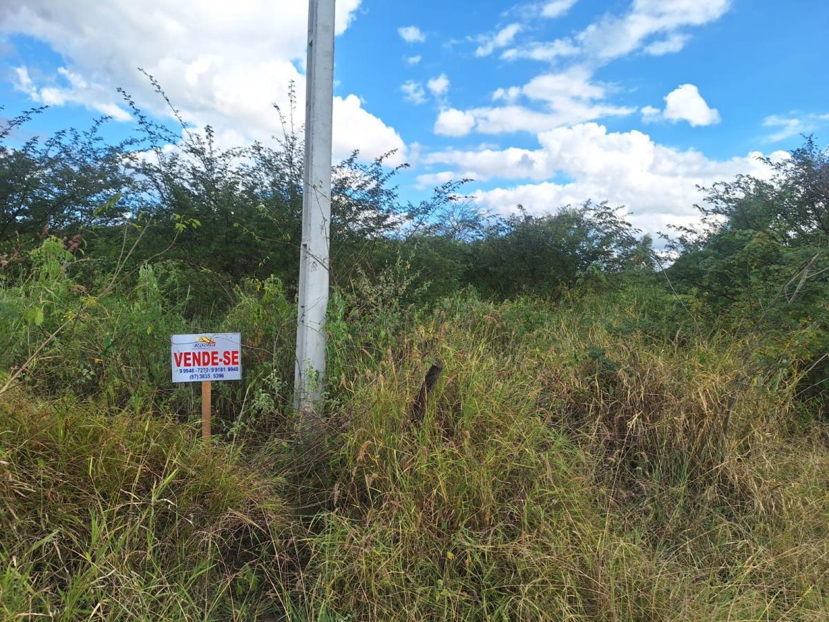 Terreno à venda, 2500m² - Foto 2