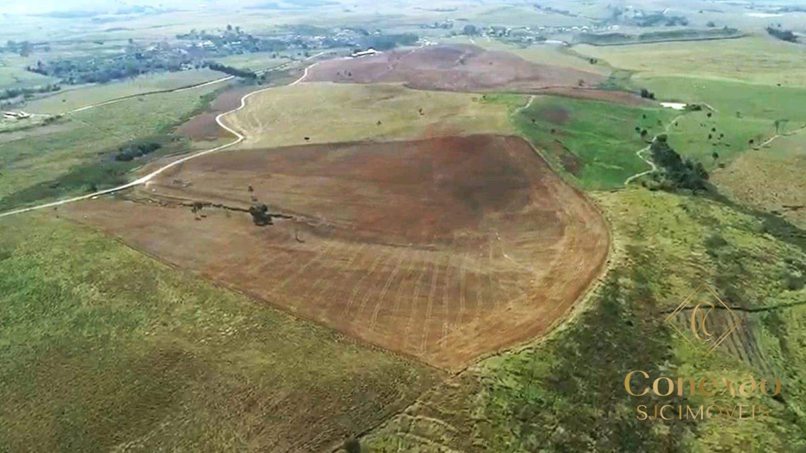 Fazenda, 257 hectares - Foto 21