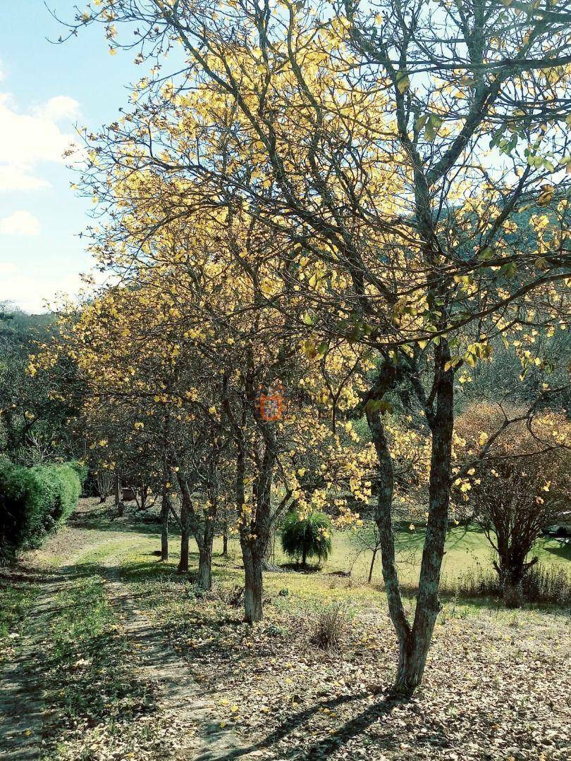 Chácara à venda com 2 quartos, 98m² - Foto 6