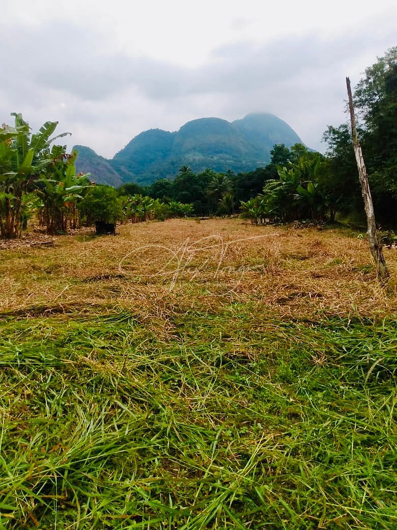 Terreno à venda, 75000m² - Foto 11