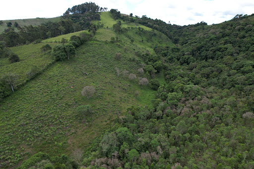 Terreno à venda, 75000M2 - Foto 12