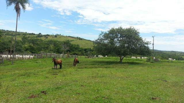 Fazenda-Sítio-Chácara, 324 hectares - Foto 3