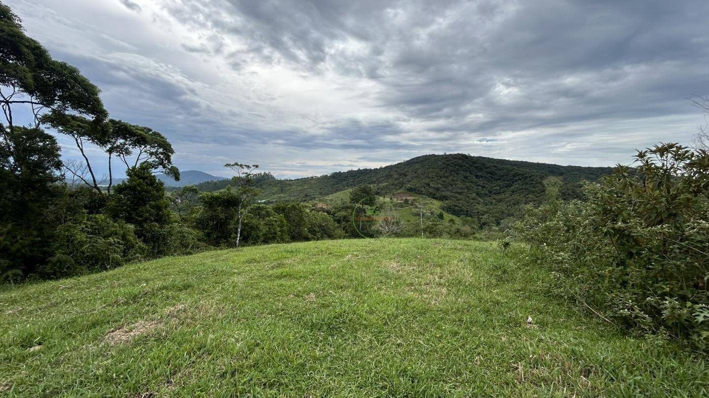 Terreno, 9 hectares - Foto 3