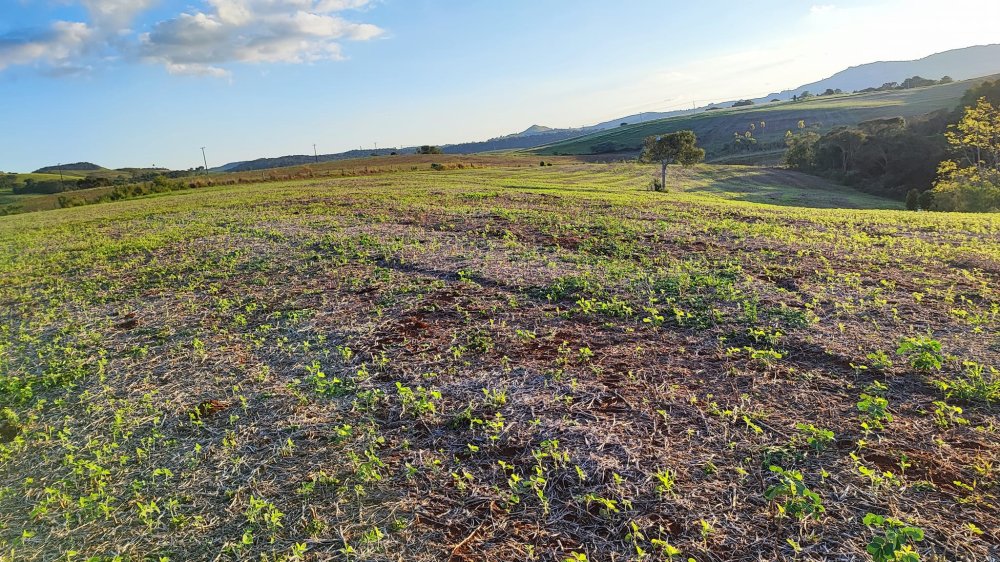 Fazenda à venda, 13m² - Foto 15