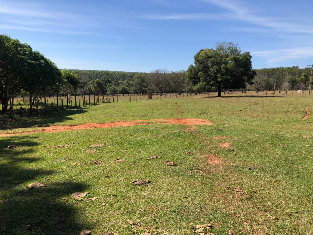 Fazenda à venda, 21m² - Foto 8