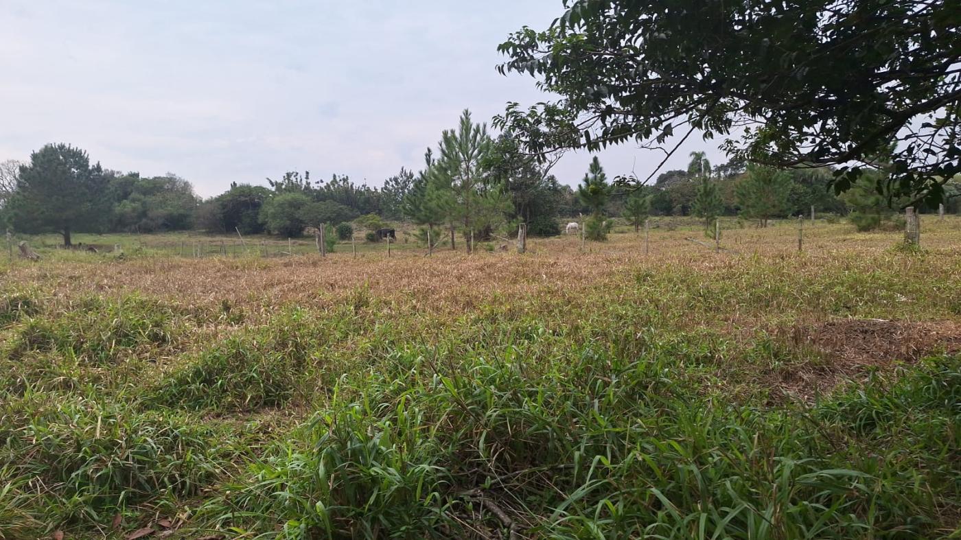 Chácara à venda com 2 quartos, 6790m² - Foto 10