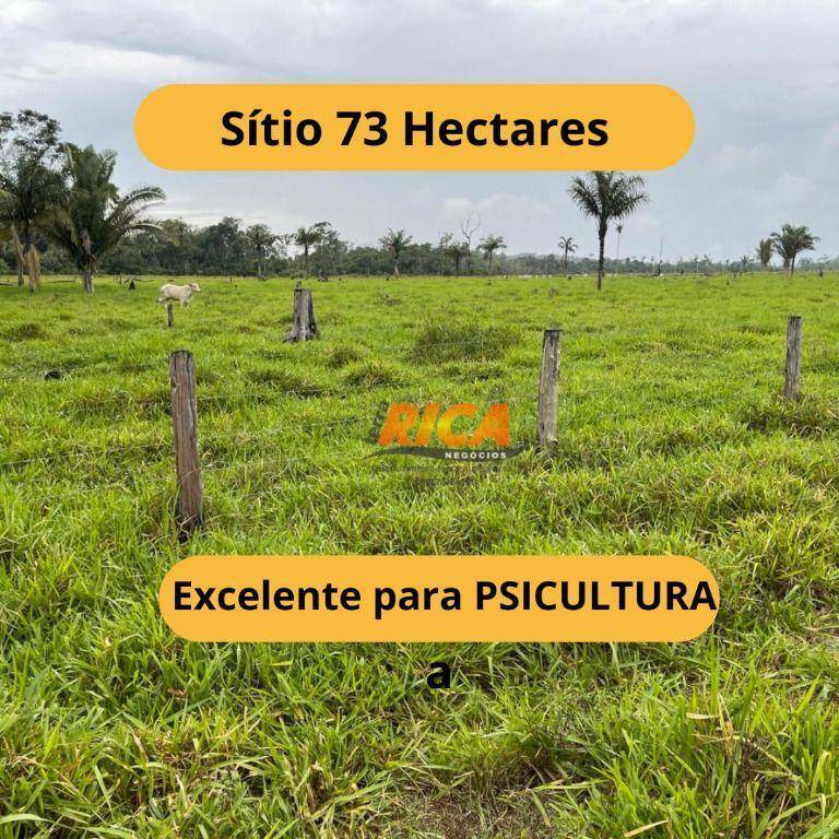 Sítio, 73 hectares - Foto 1