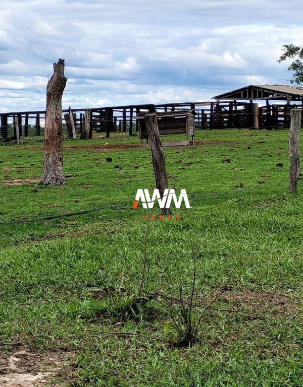 Fazenda, 813 hectares - Foto 1