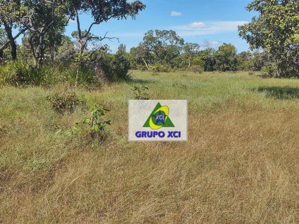 Fazenda à venda, 135000000M2 - Foto 7