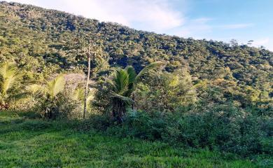 Fazenda à venda com 2 quartos, 138000m² - Foto 13