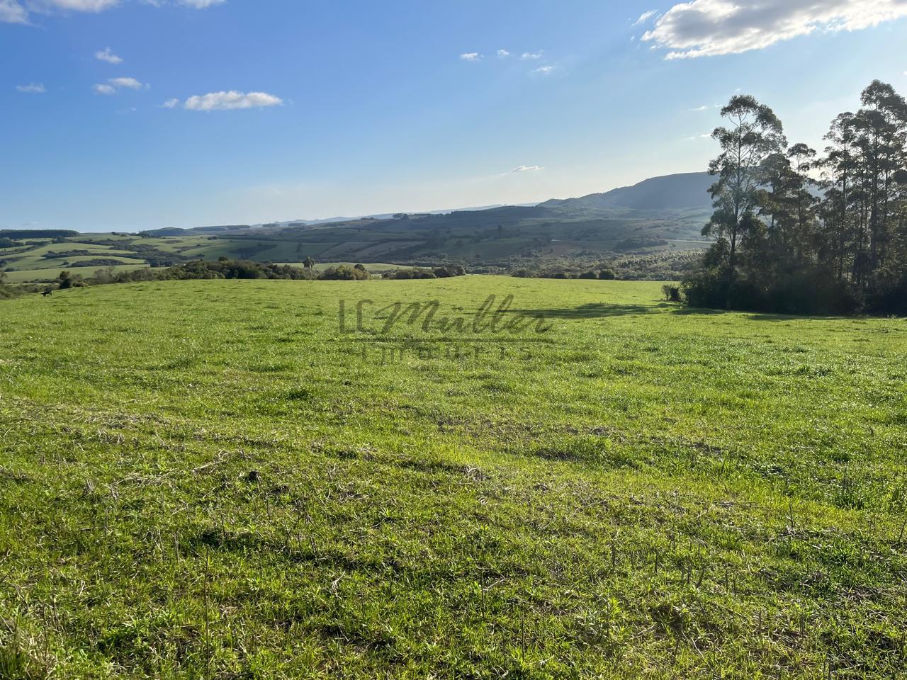 Fazenda à venda, 900m² - Foto 30