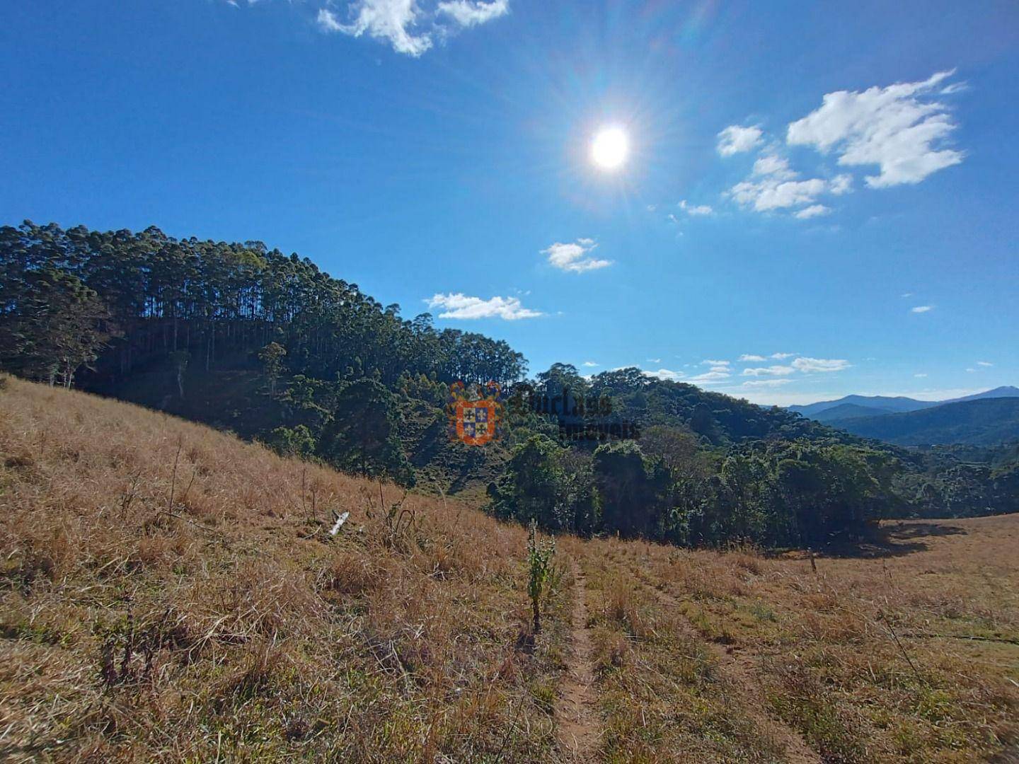 Terreno, 15 hectares - Foto 12