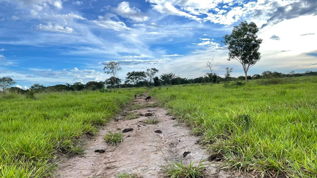 Fazenda-Sítio-Chácara, 1572 hectares - Foto 3