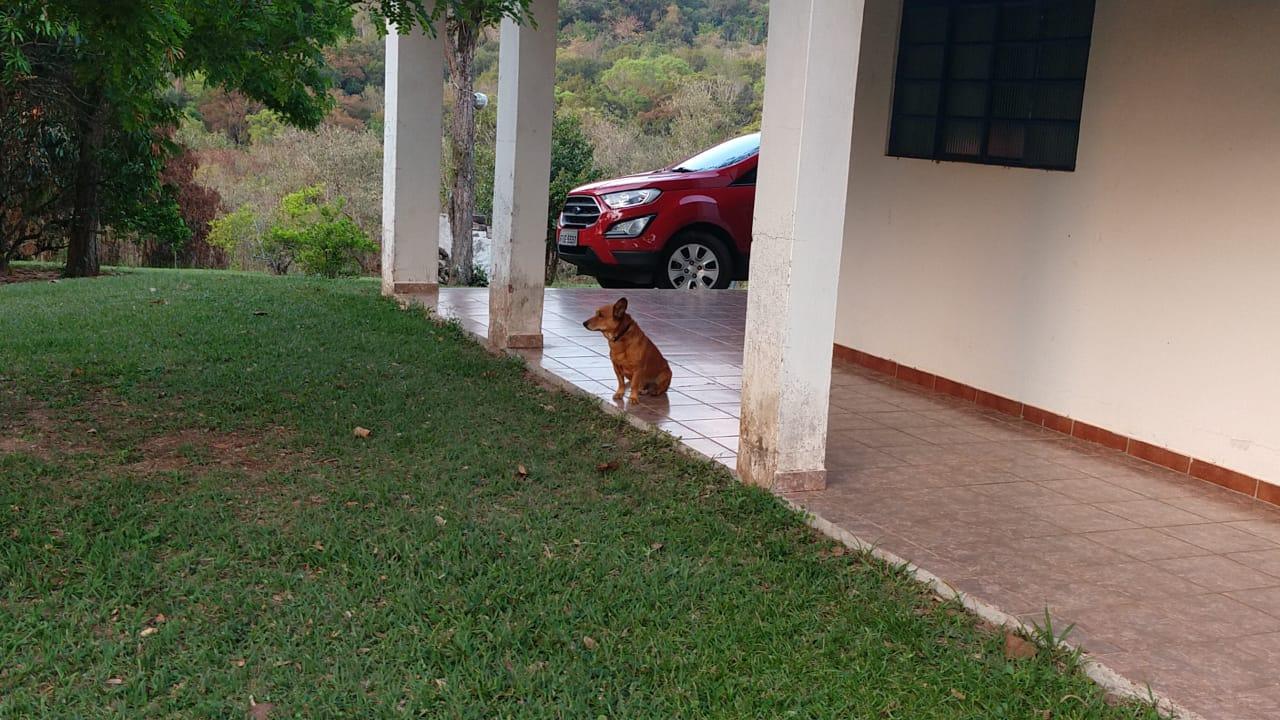 Casa à venda com 4 quartos, 200m² - Foto 5